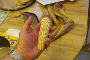 dried corn